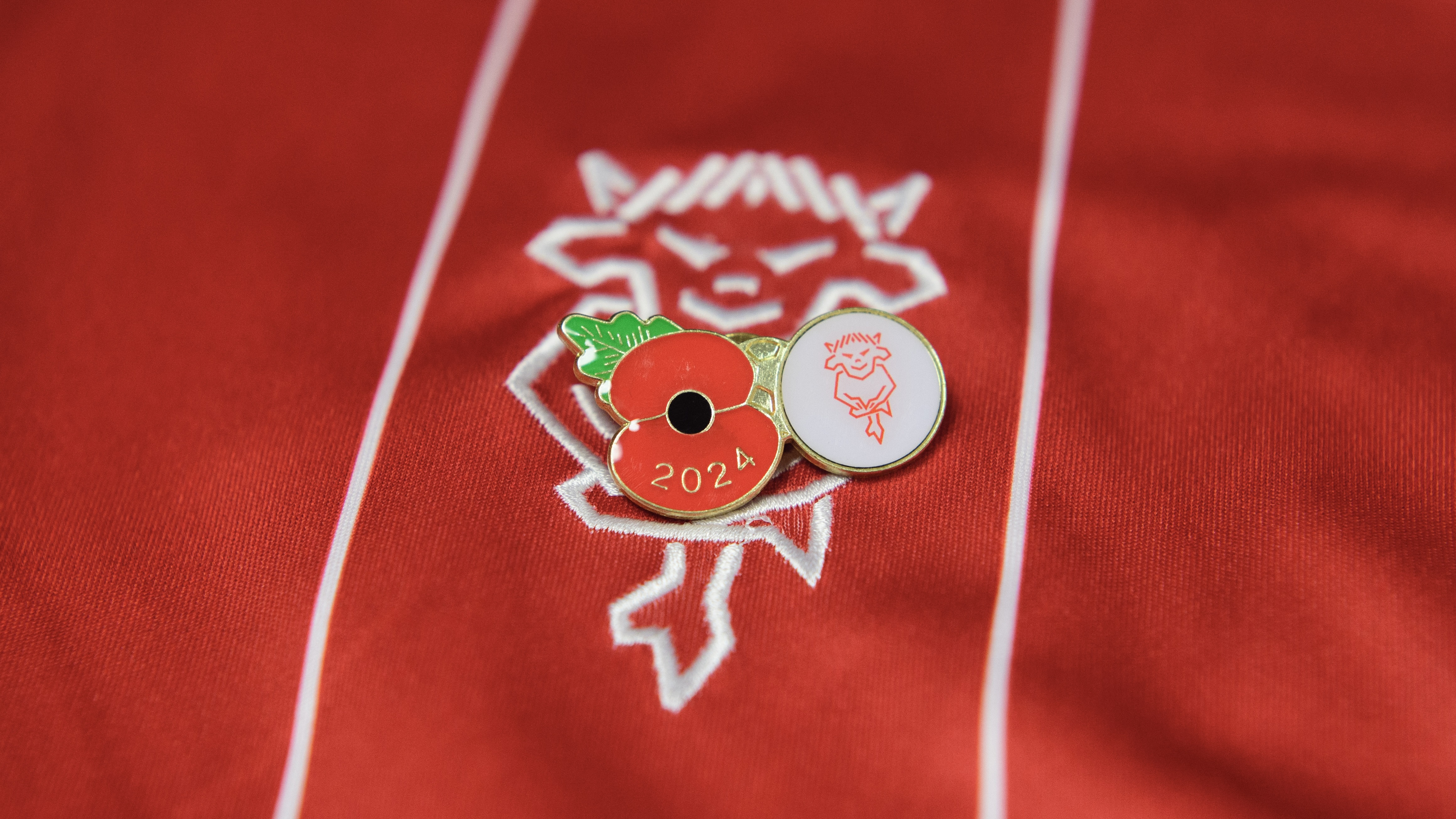 Poppy pin badge.