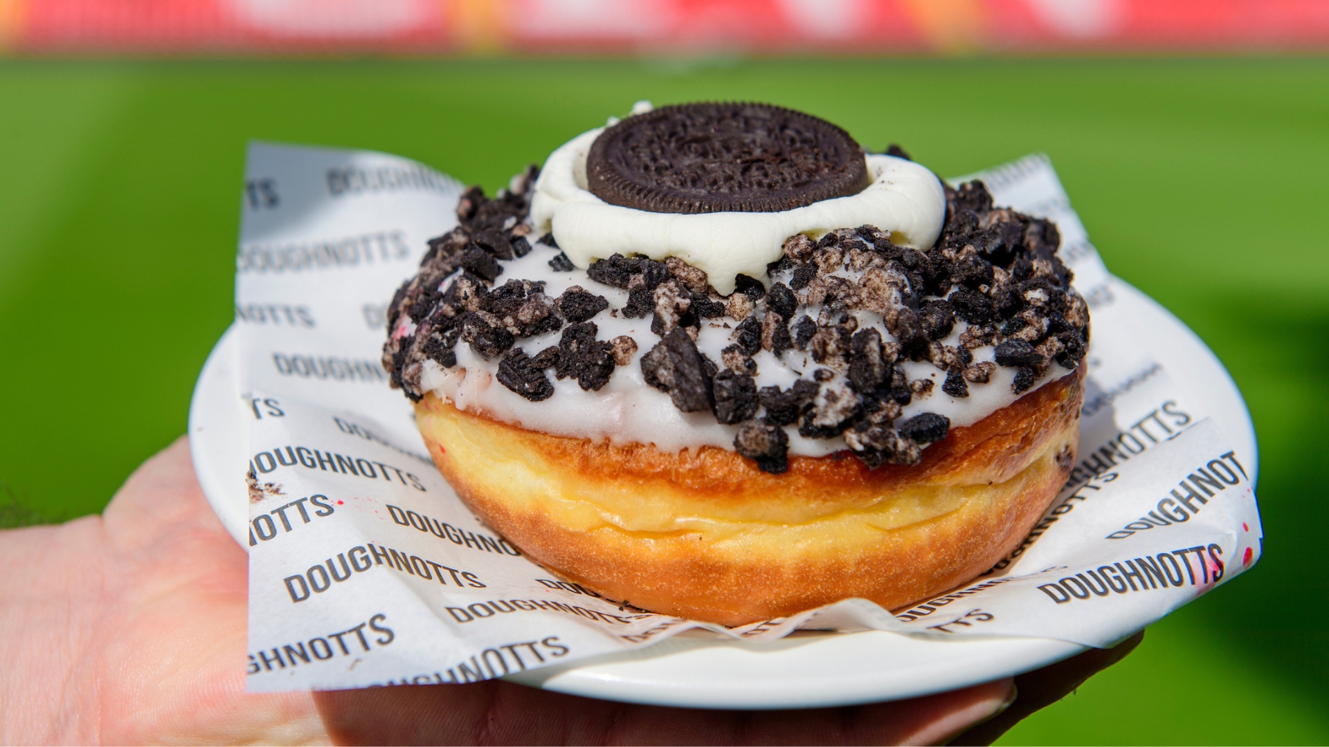 Doughnotts at LNER Stadium, Lincoln.