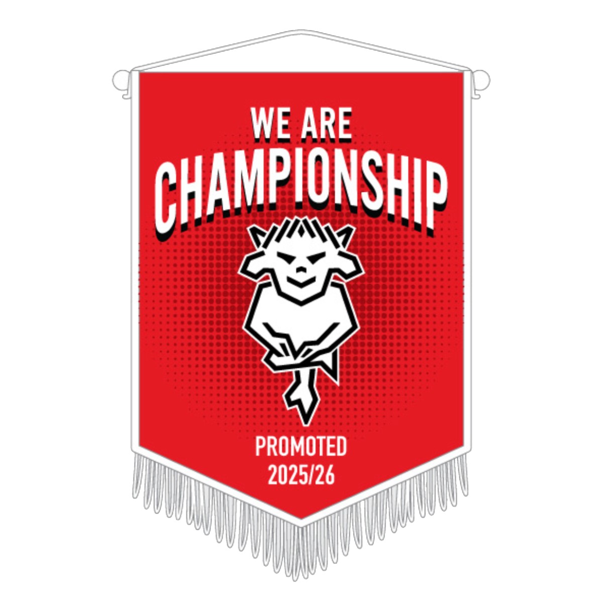 25/26 Promoted Pennant