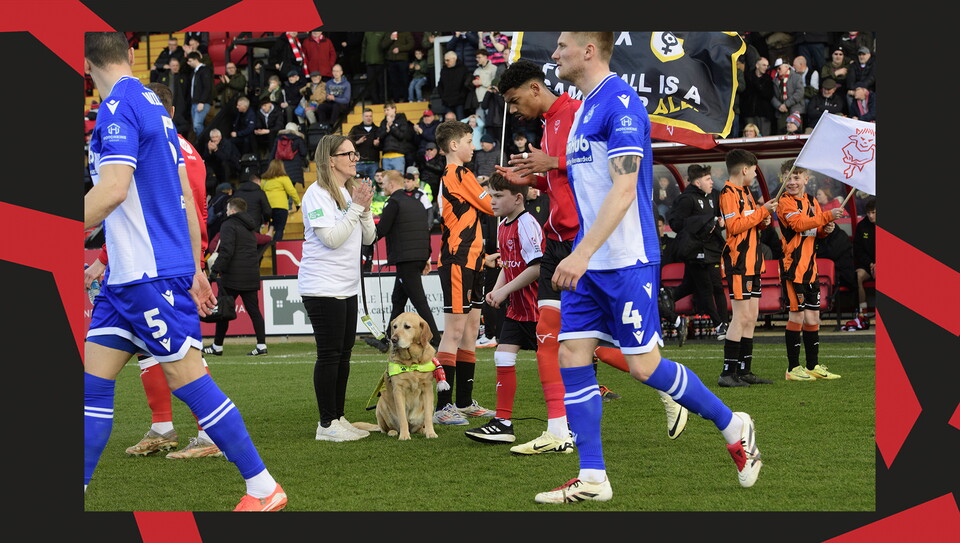 A crowd image from City's 5-0 home win over Bristol Rovers.