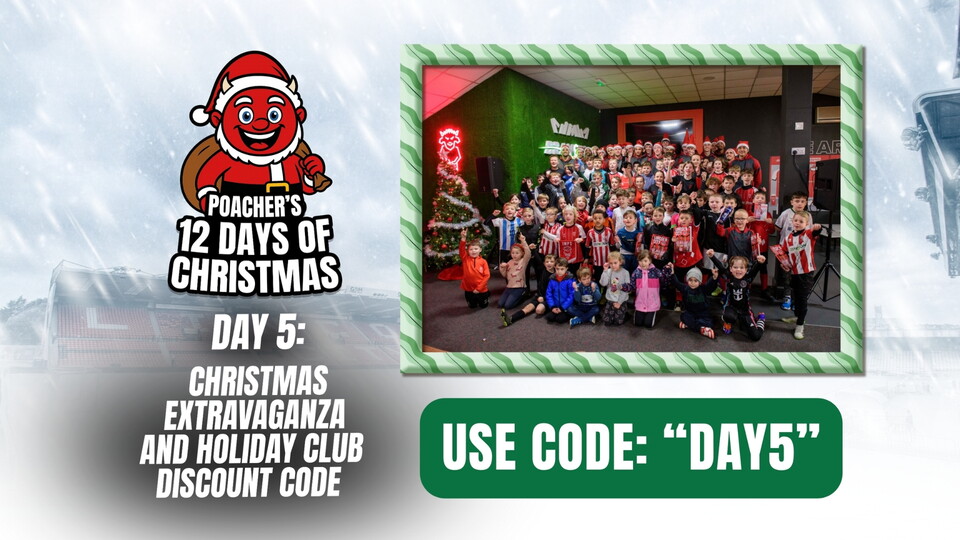 12 days of Christmas day 5 graphic